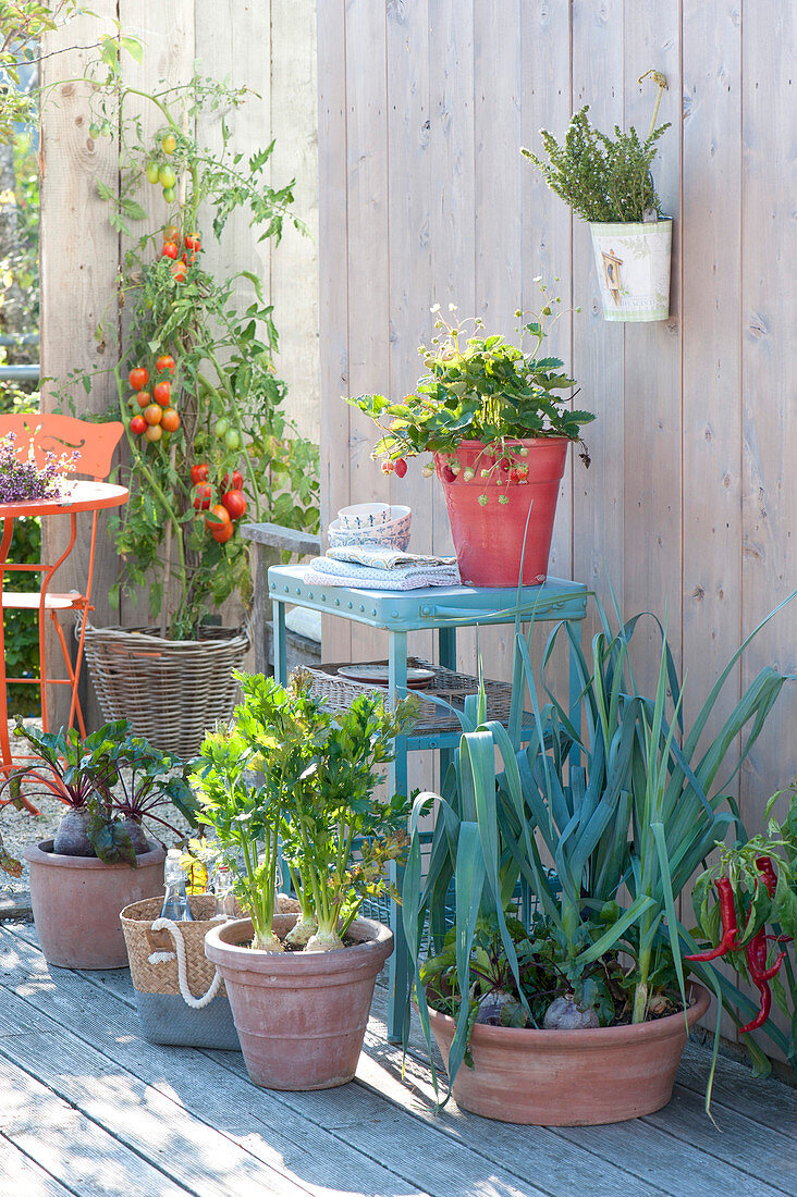 Root vegetables in the outdoor kitchen