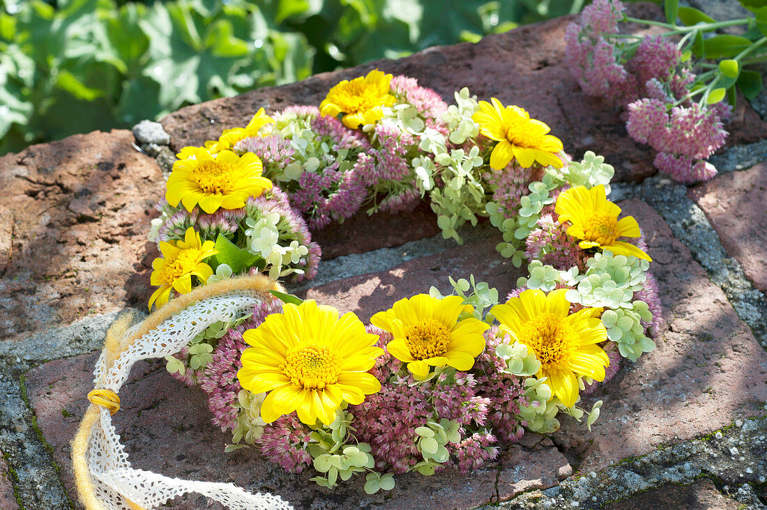 Autumn wreath from Anthemis, Sedum