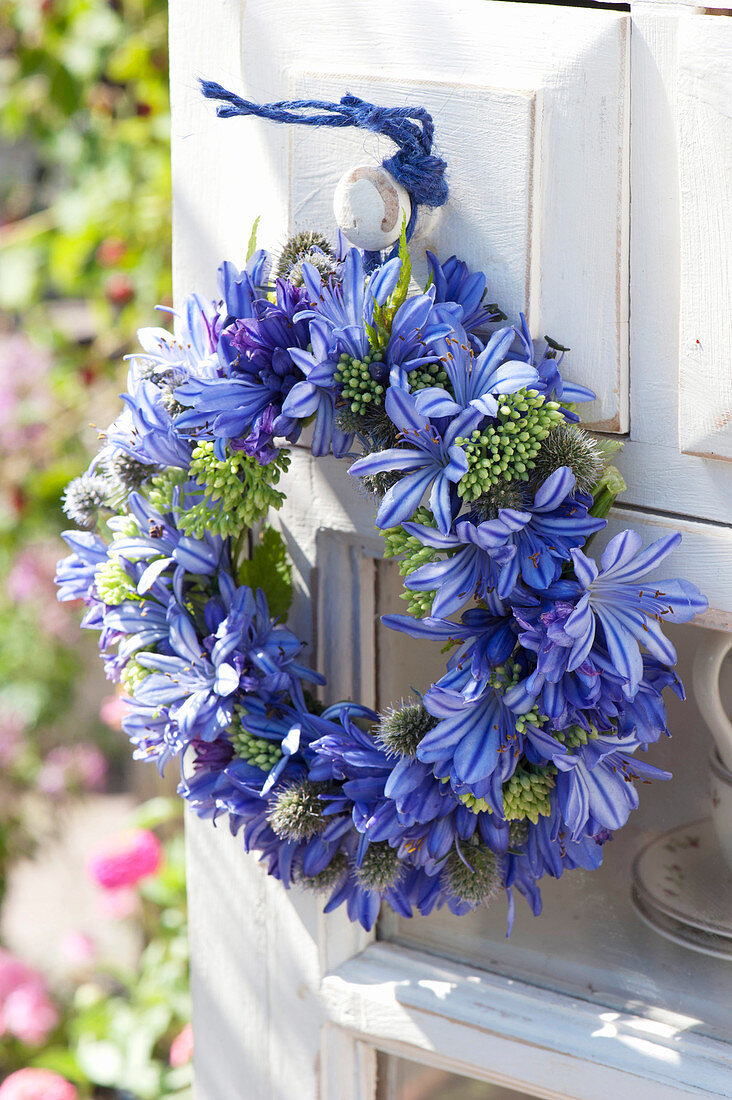 Blue door wreath made of Agapanthus (lily), Sedum
