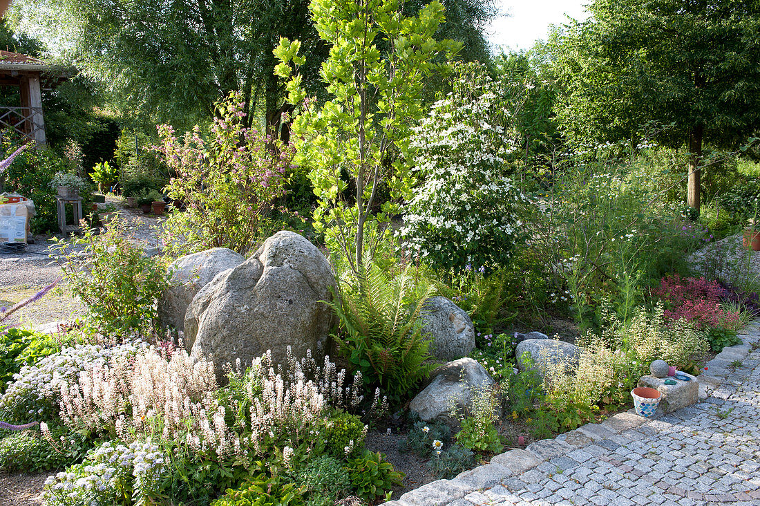 Schwengelpumpe im Beet mit Fingerhut, … – Bild kaufen – 12570918 ❘  Gartenbildagentur Friedrich Strauss