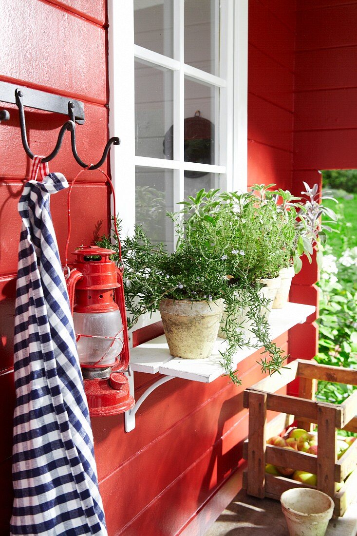A red garden shed with culinary herbs in front of the window