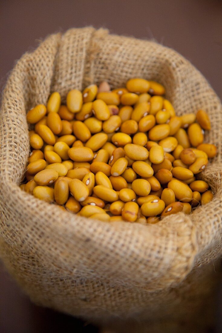 Organic beans in a bag