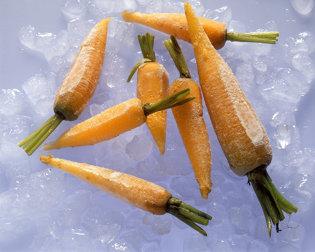 Frozen Carrots on Ice