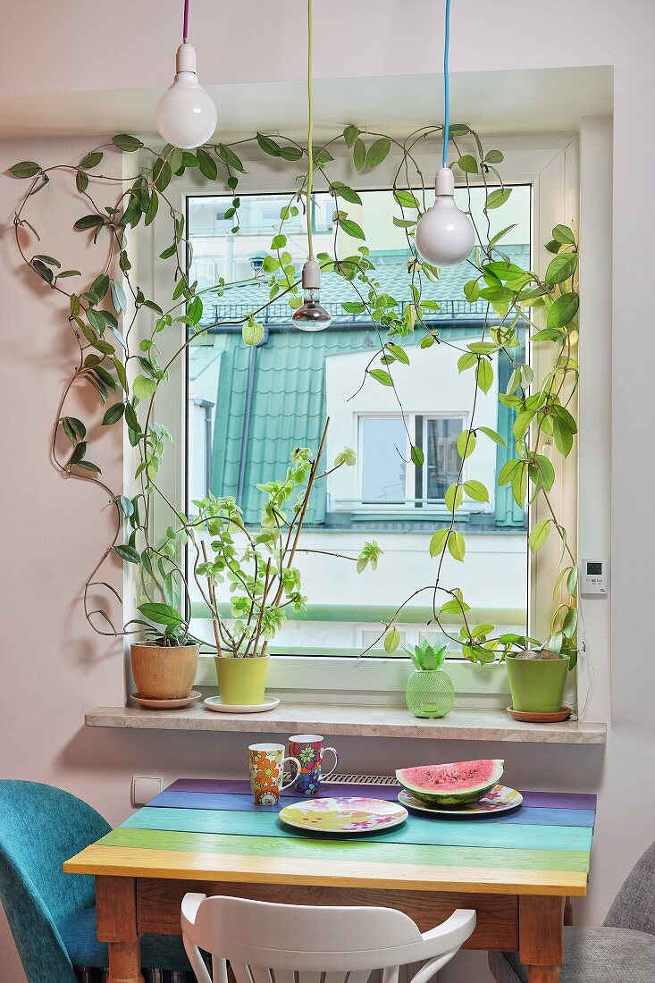 Kletterpflanzen umranken ein Fenster, Tisch mit bunter Platte