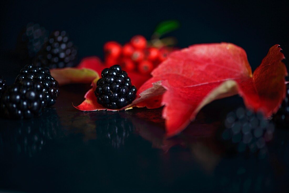 Blackberries on an autumn leaf