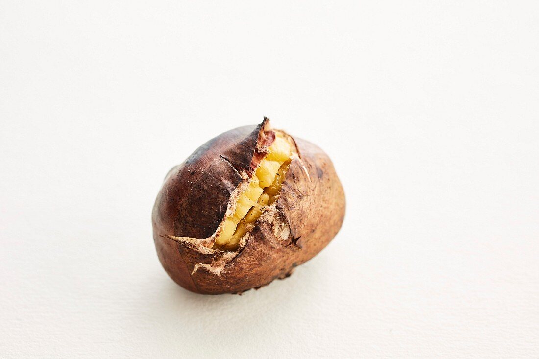 A roasted chestnut on a white background