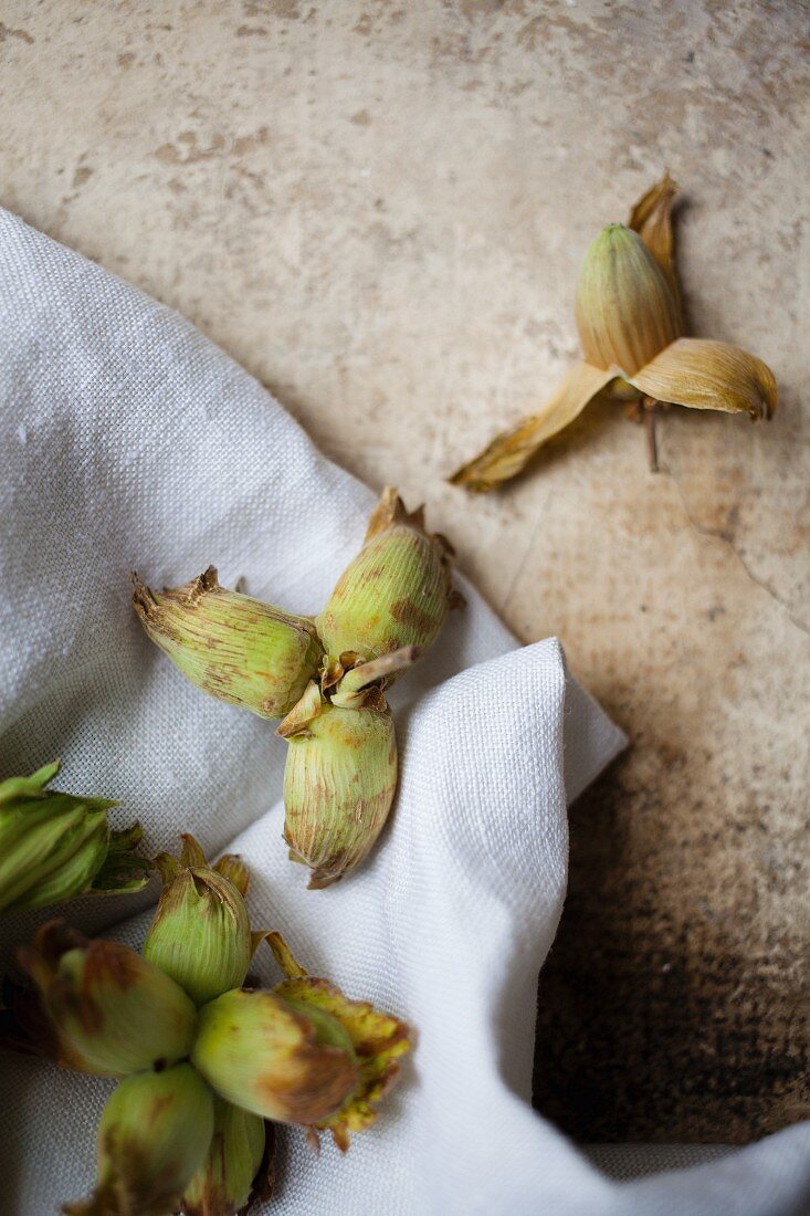 English cob nuts on white linen cloth and stone background