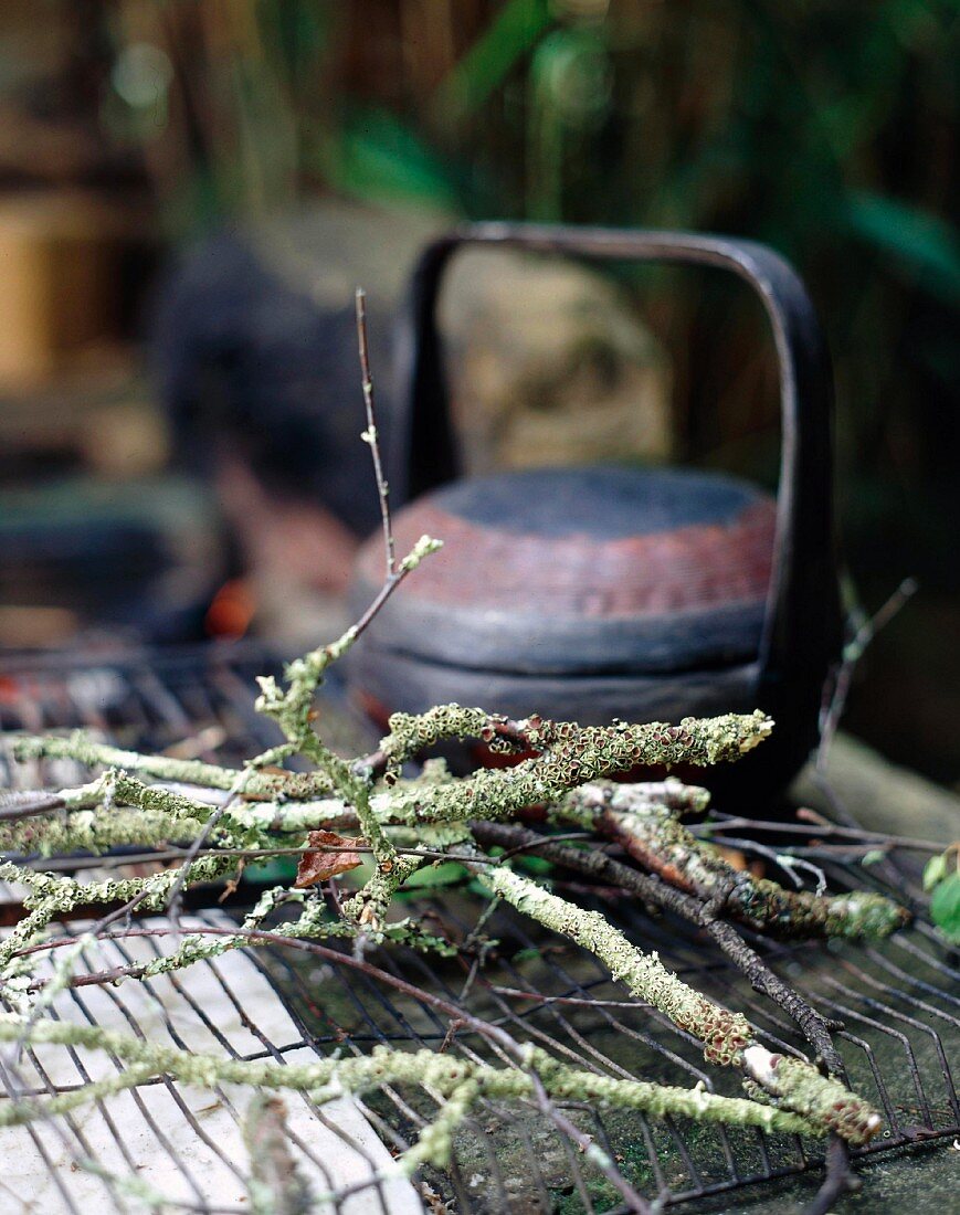 Teakettle and twigs of twigs on wire rack outdoors