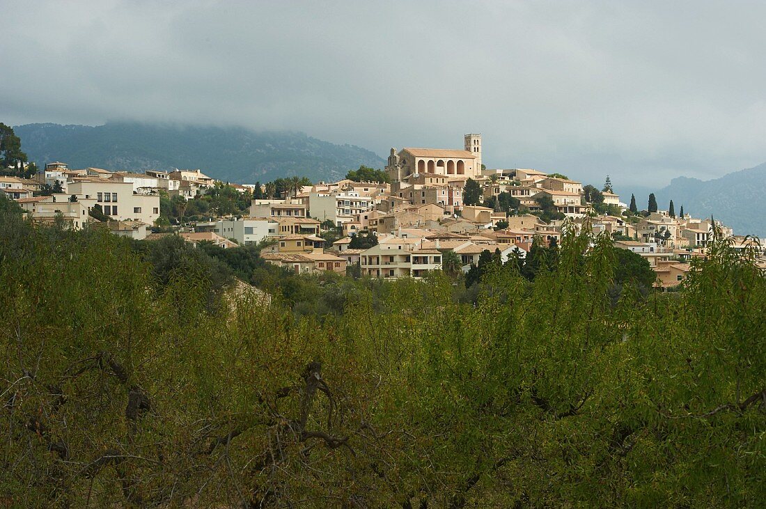 View of Selva in Mallorca, Spain