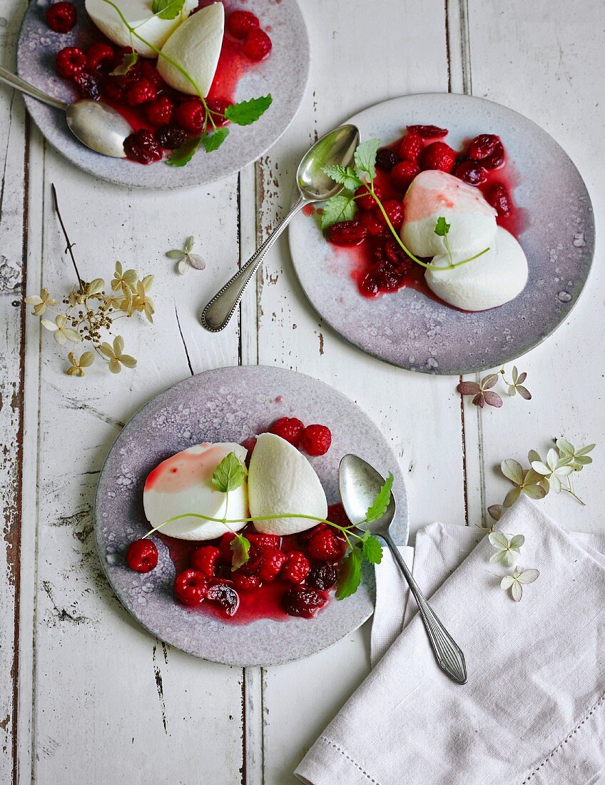 Joghurtmousse mit Himbeeren-Cranberry-Coulis (Low Carb)