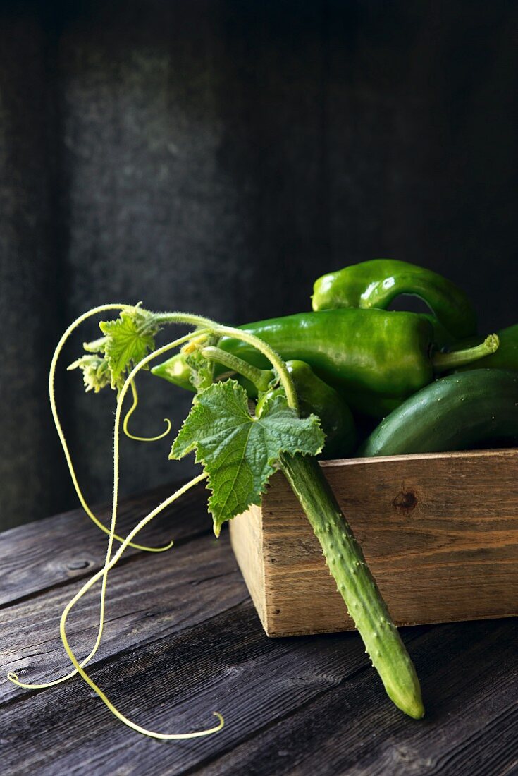Cucumbers and chillies