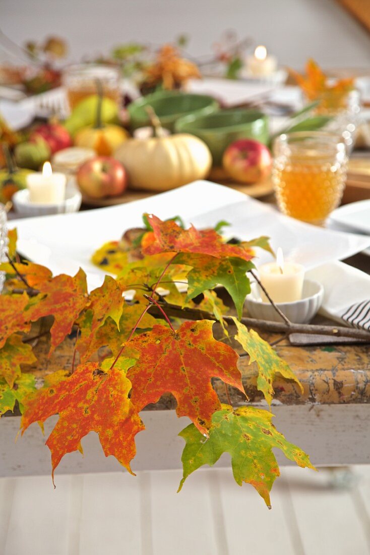 Fall diner celebration in the country, leaf table decorations