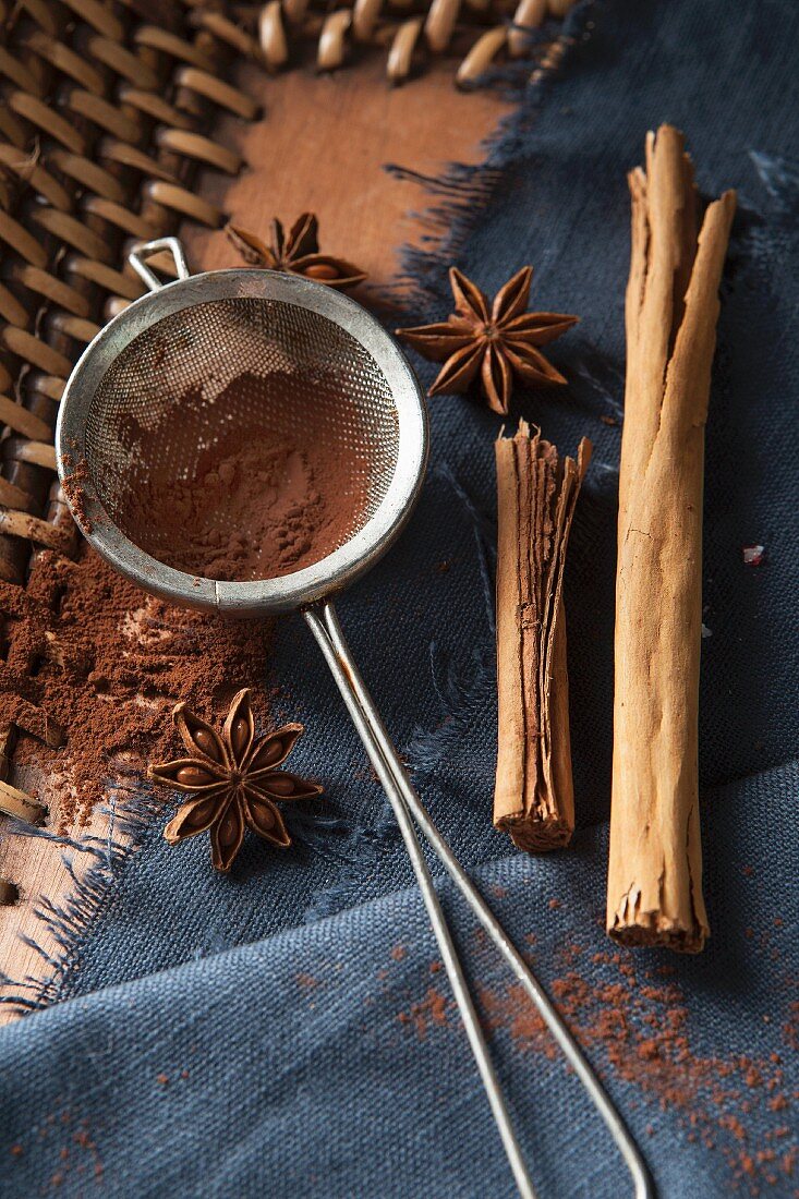 Cocoa powder in a tea strainer, surrounded by Christmas spices