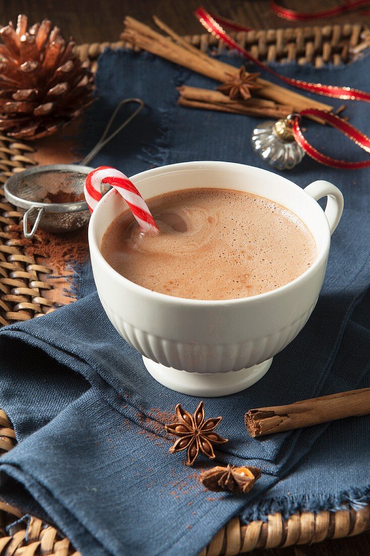 Heiße Schokolade mit einer Zuckerstange in weisser Tasse, umgeben von Weihnachtsgewürzen