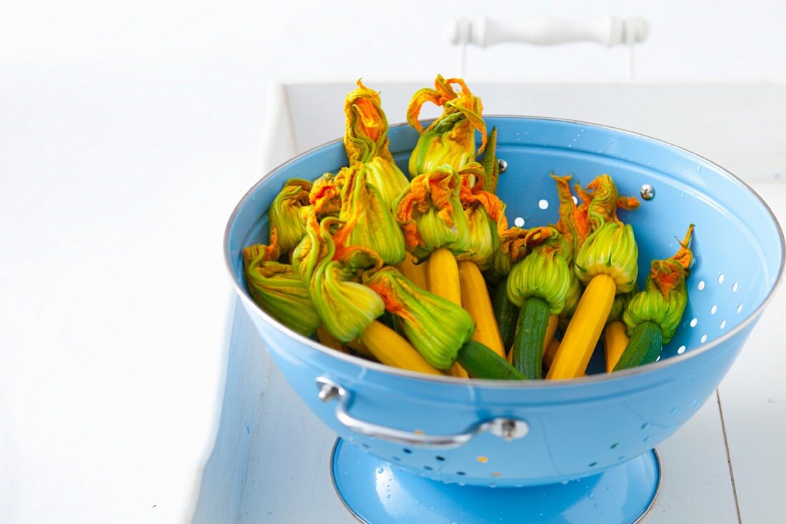 Green and yellow courgettes with flowers in a blue enamel colander