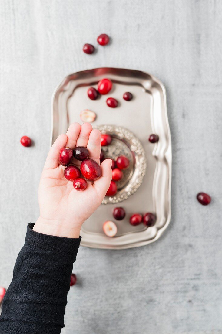 Kinderhand hält Cranberries über Silbertablett