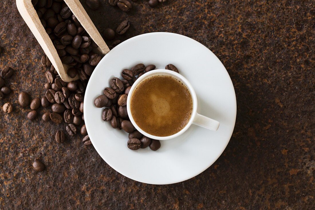 A coffee cup with coffee beans on a rusty metal plate