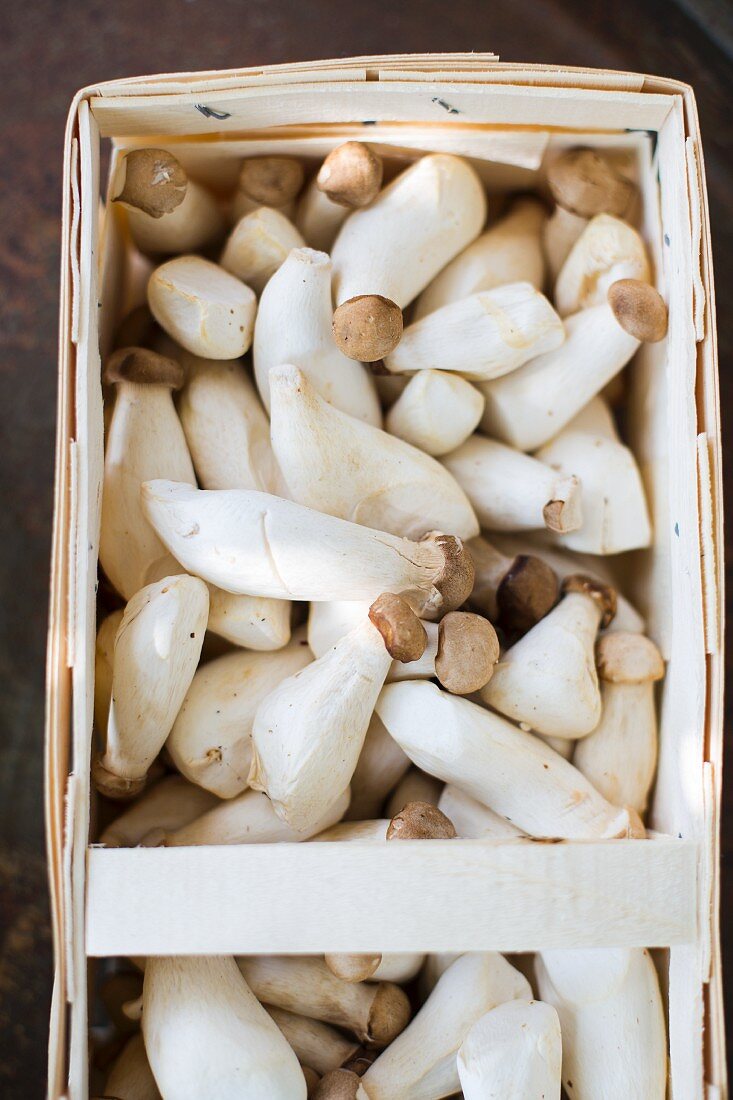 Mushrooms in a wooden basket