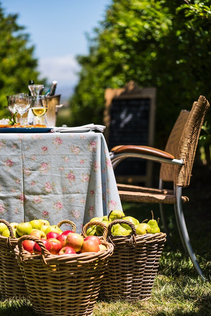 Tisch und Körbe mit Äpfeln und Birnen in Obstplantage
