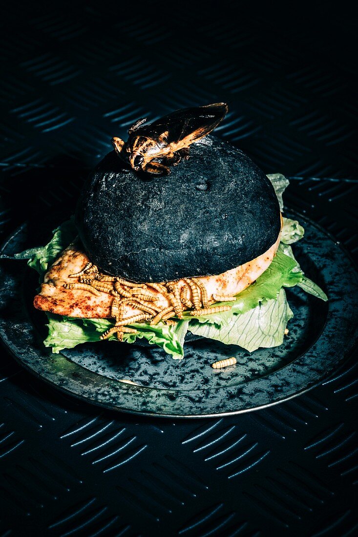 Schwarzer Chickenburger mit Mehlwürmern und riesiger Kakerlake zu Halloween