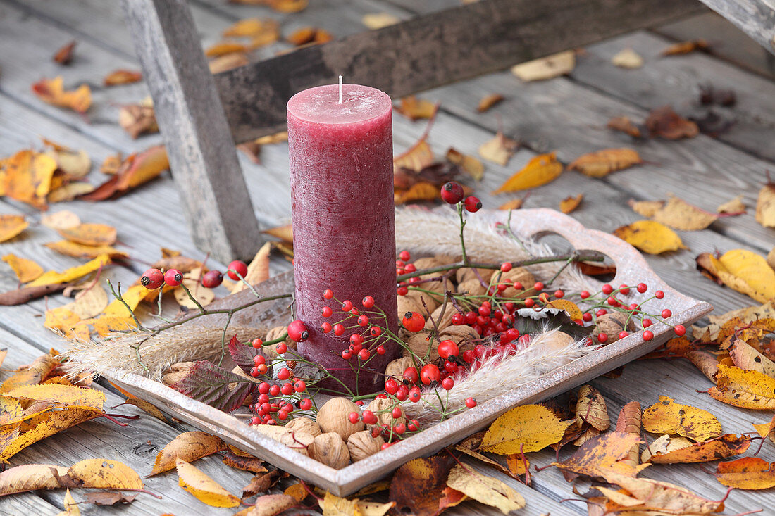 A candle, walnuts, red berries and reeds