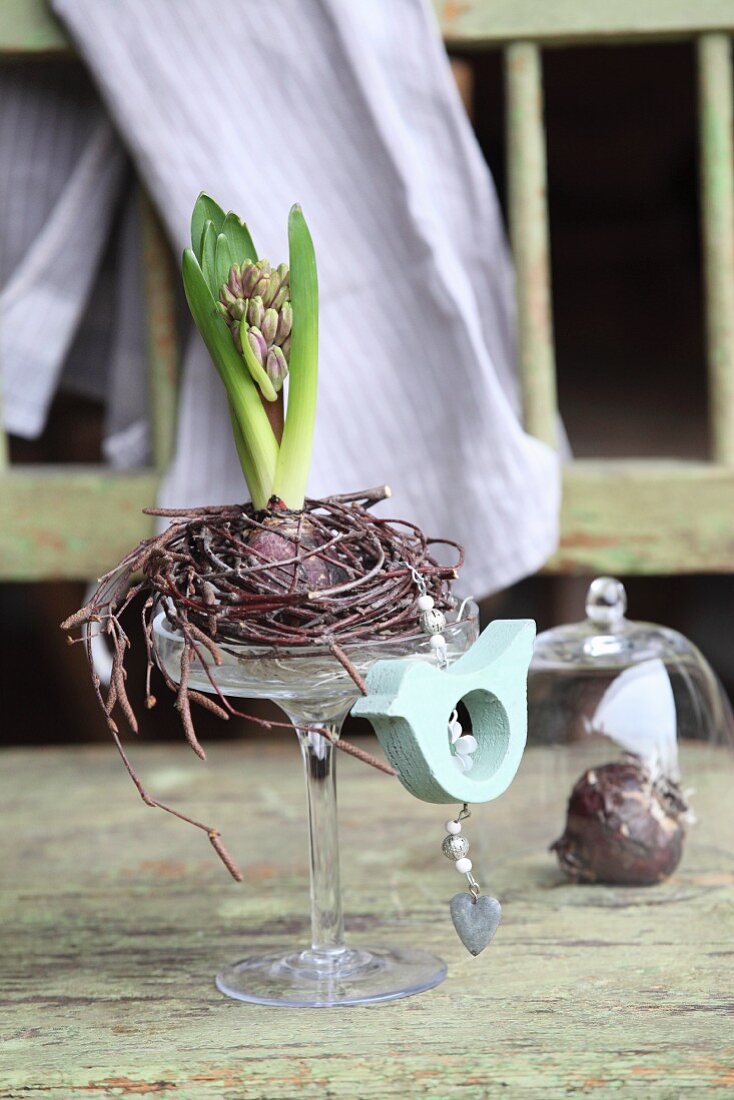 Hyazinthe im Nest aus Zweigen in einem Stielglas mit Dekovogel