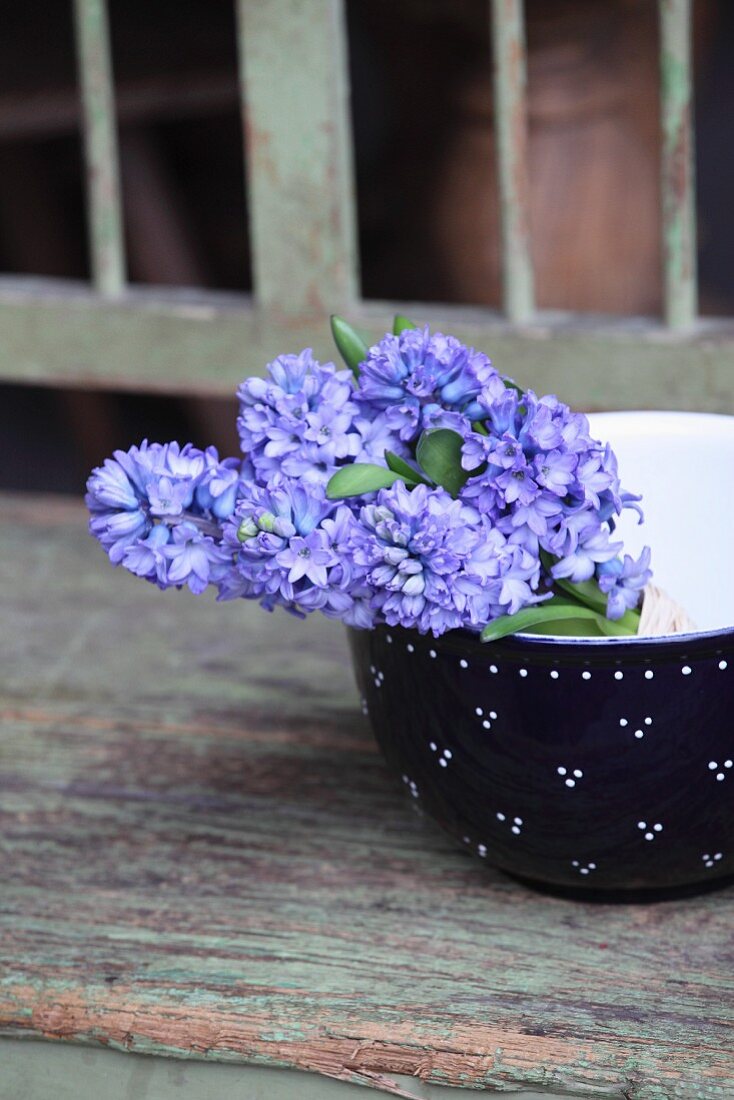 Bunch of blue hyacinths in rustic china bowl