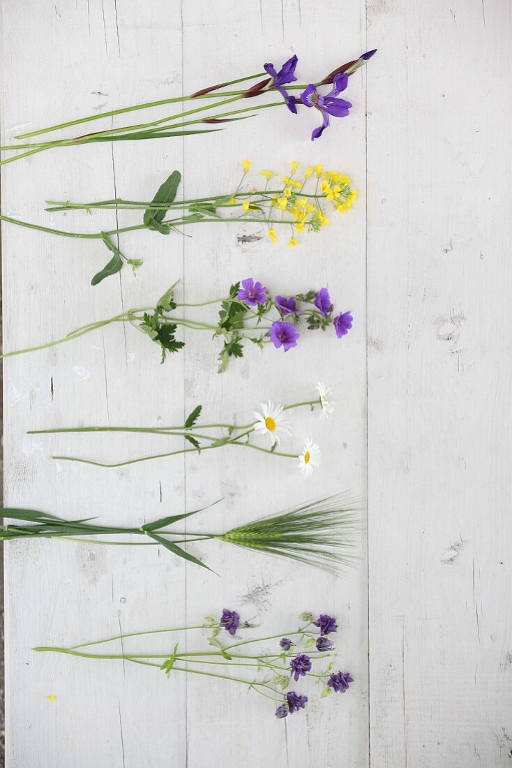 Cut cottage-garden flowers on white wooden boards