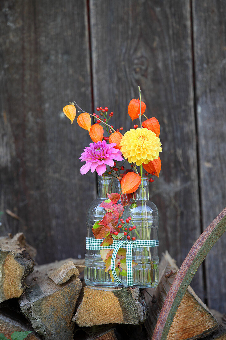 Dahlias, physalis and rose hips in glass bottles