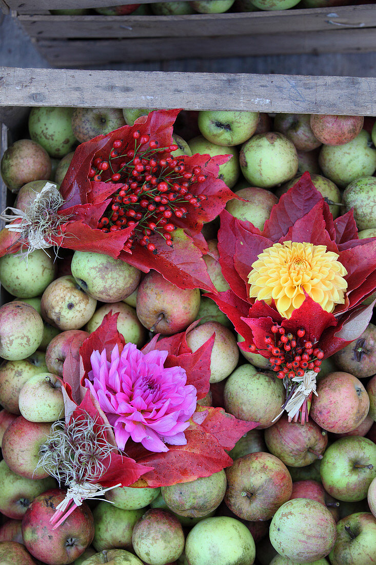 Posy of dahlias, rose hips and red Virginia creeper leaves