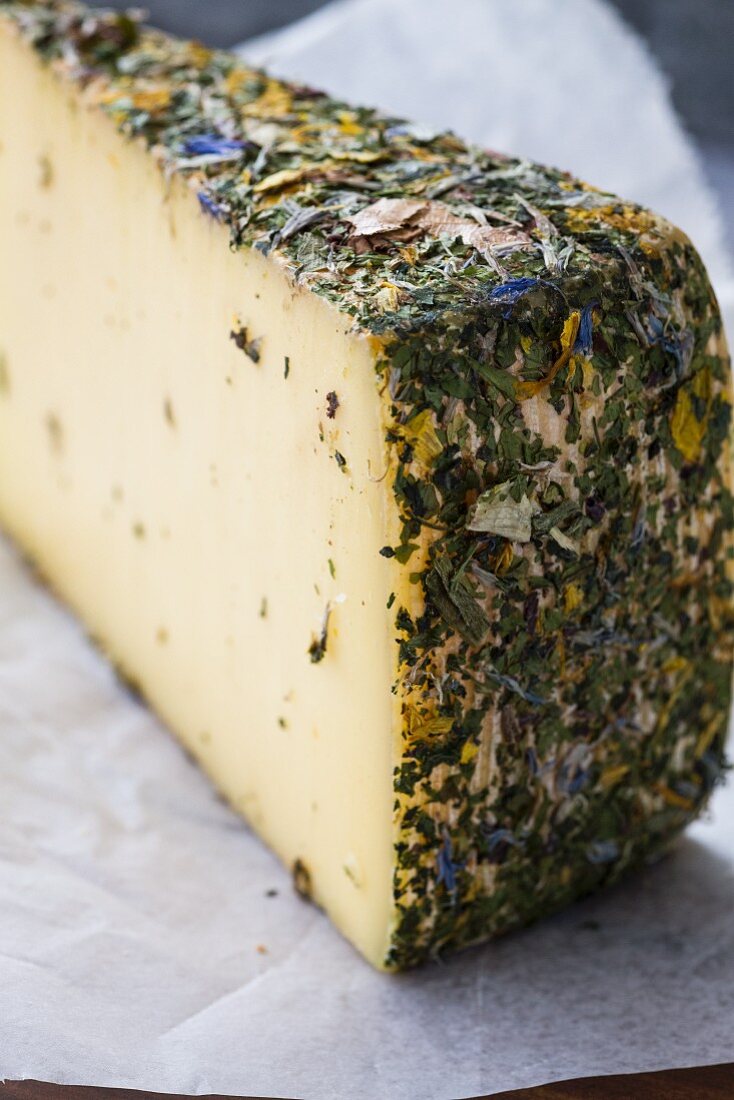 Mountain cheese with herbs on paper