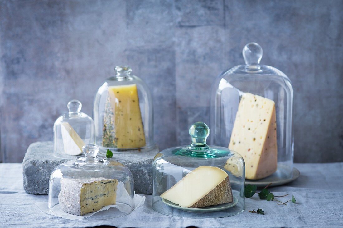 Several varieties of cheese under cheese bells