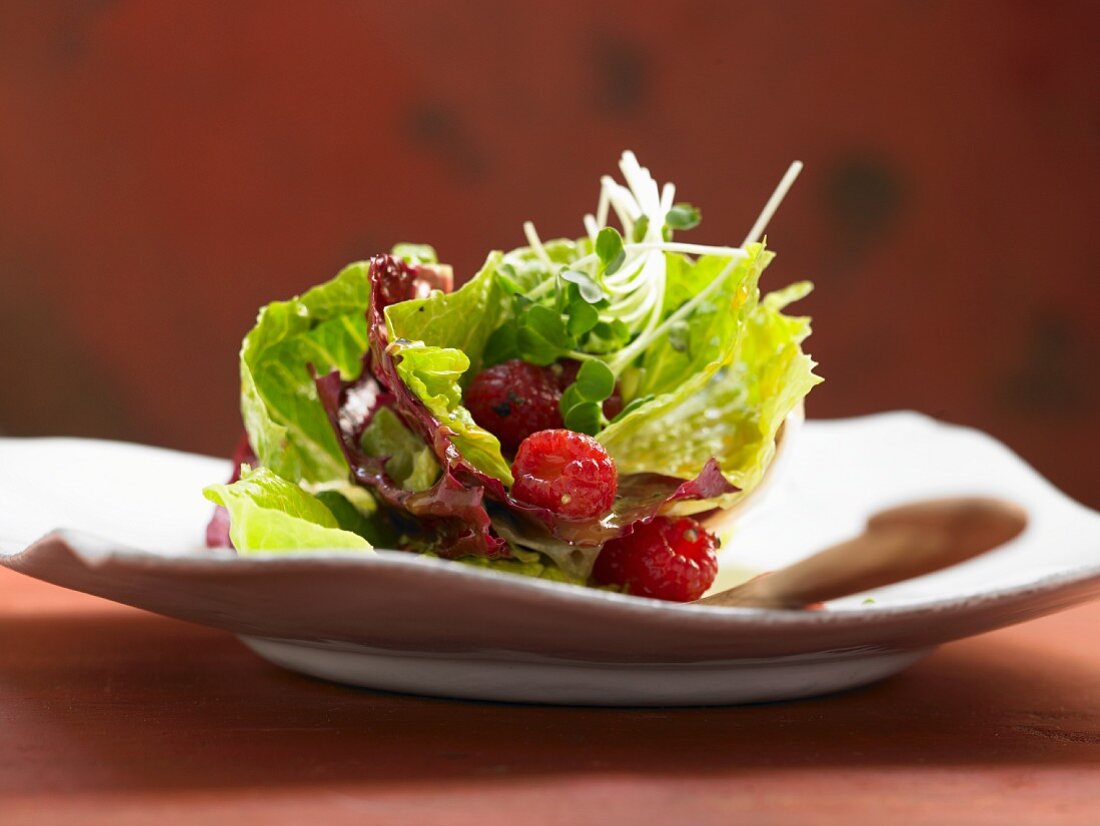 Fruity leaf salad with a raspberry dressing