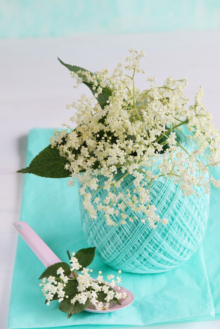 Frische Holunderblüten mit Blättern in Garnrollen-Vase und auf rosa Emaillelöffel