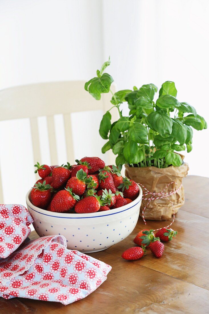 Frische Erdbeeren in Schüssel und Basilikum auf Holztisch