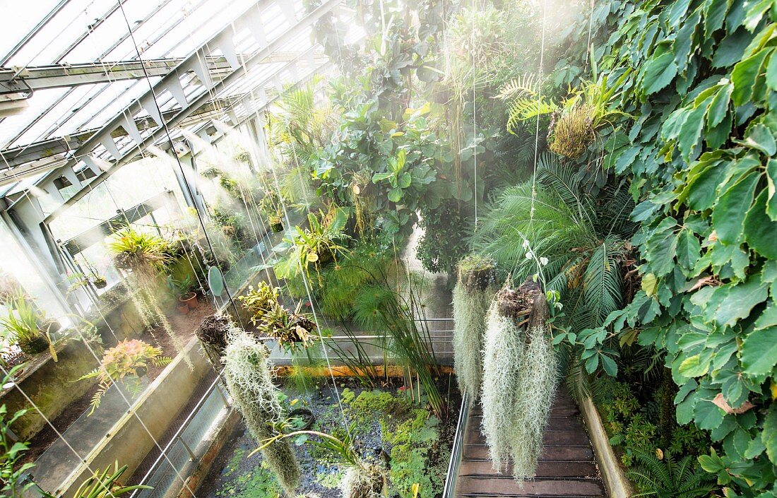 A greenhouse at the'Real Jardin Botanico de Madrid' botanical garden in Madrid, Spain