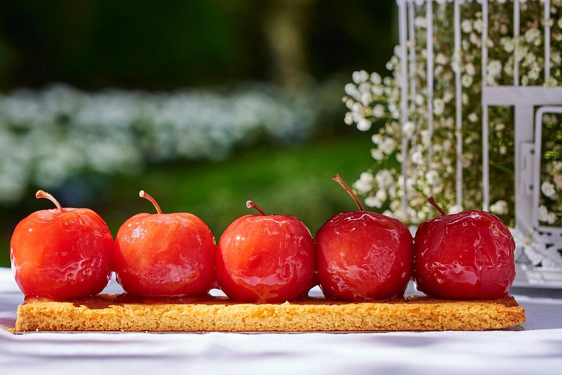 Caramel apples in a row on a cake base