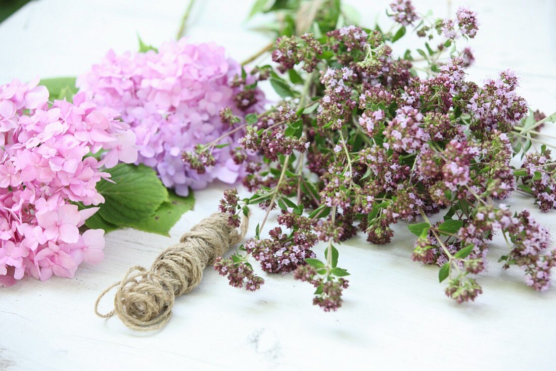 Pink hydrangea, flowering oregano and reel of twine