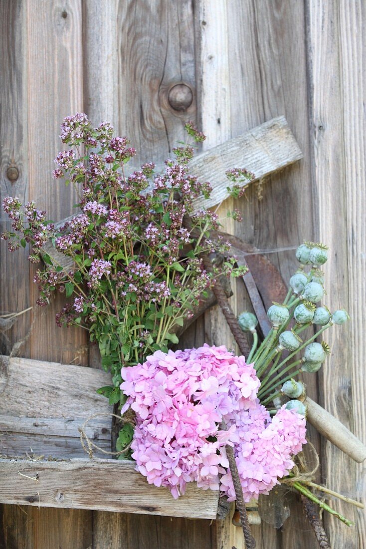 Flowers propped up against board wall to dry