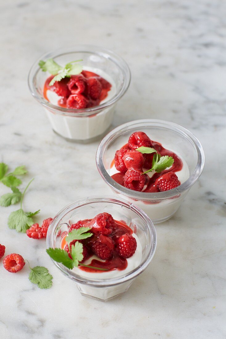 Sugar-free yoghurt mousse with raspberry and coriander syrup
