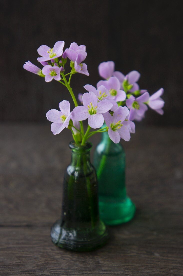 Lady's smock in two tiny green glass bottles