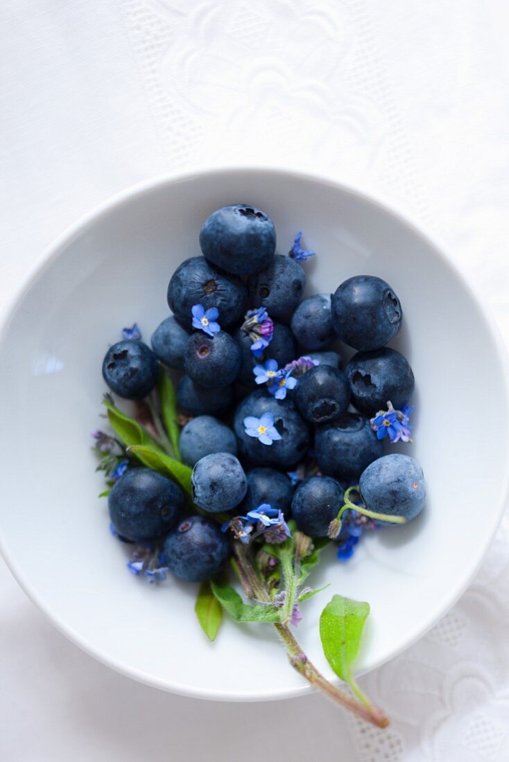 Blueberries with forget-me-not in a bowl