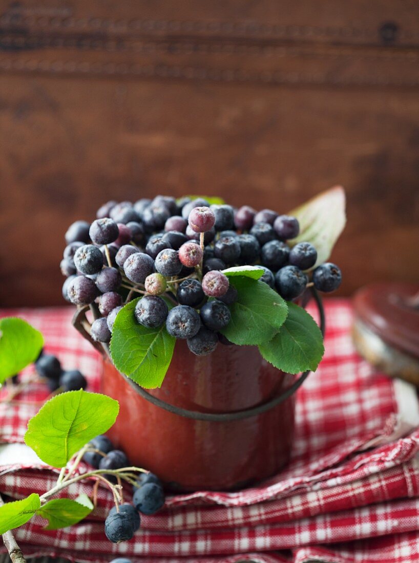 Aroniabeeren im Emailtopf