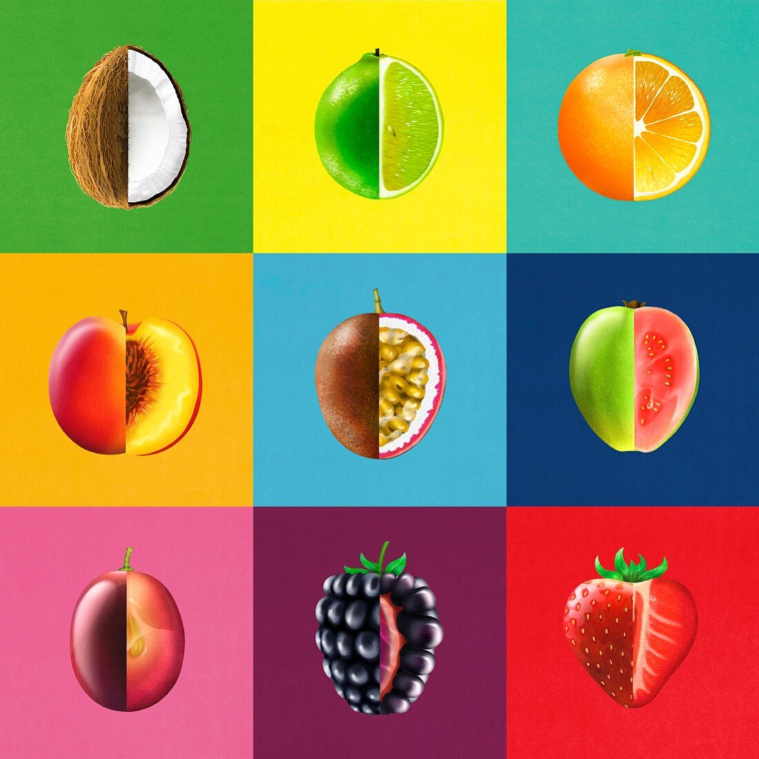 Montage of rows of bisected fruit showing cross sections