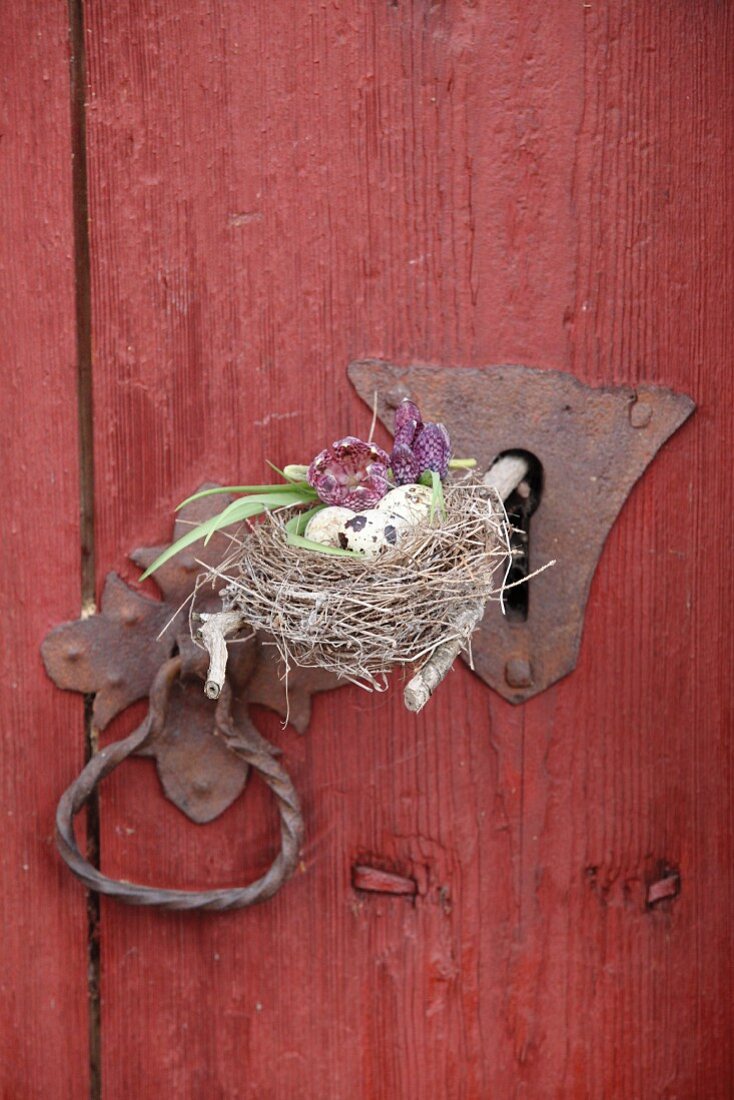 Eggs and snake's head fritillaries in nest on forked branch in keyhole