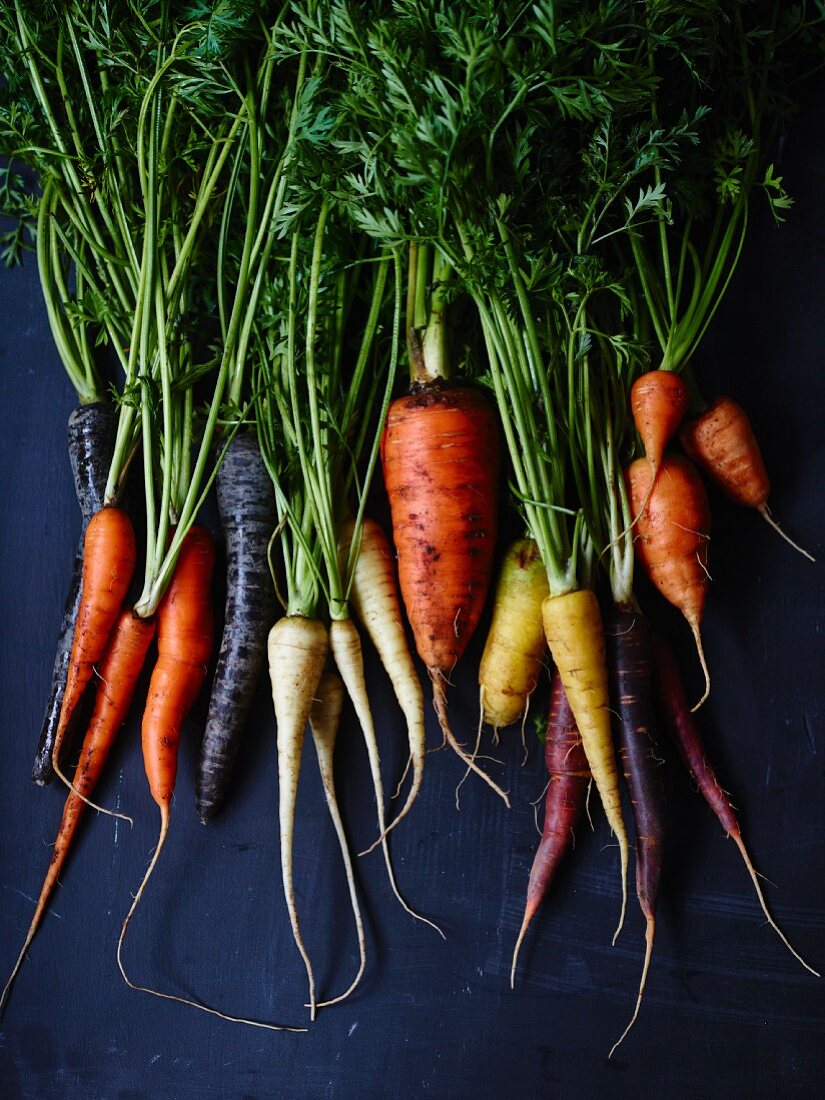 Different coloured carrots (seen from above)