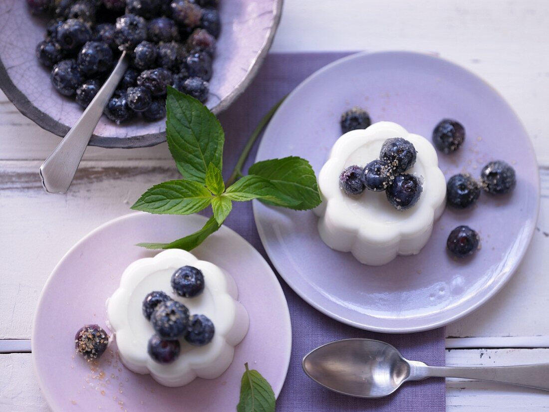 Buttermilk cream with elderberry blossom syrup and blueberries
