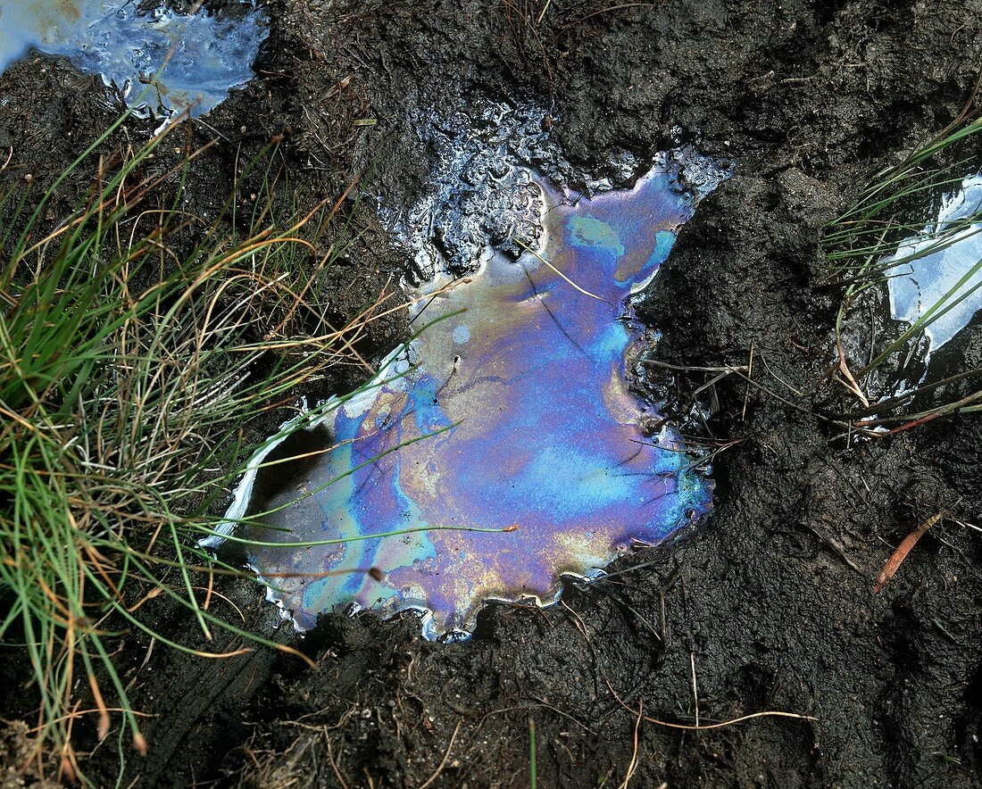 Oil-polluted land