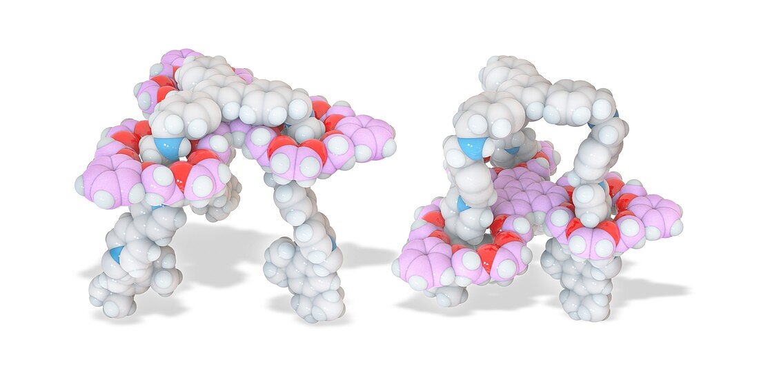 Molecular elevator, molecular model