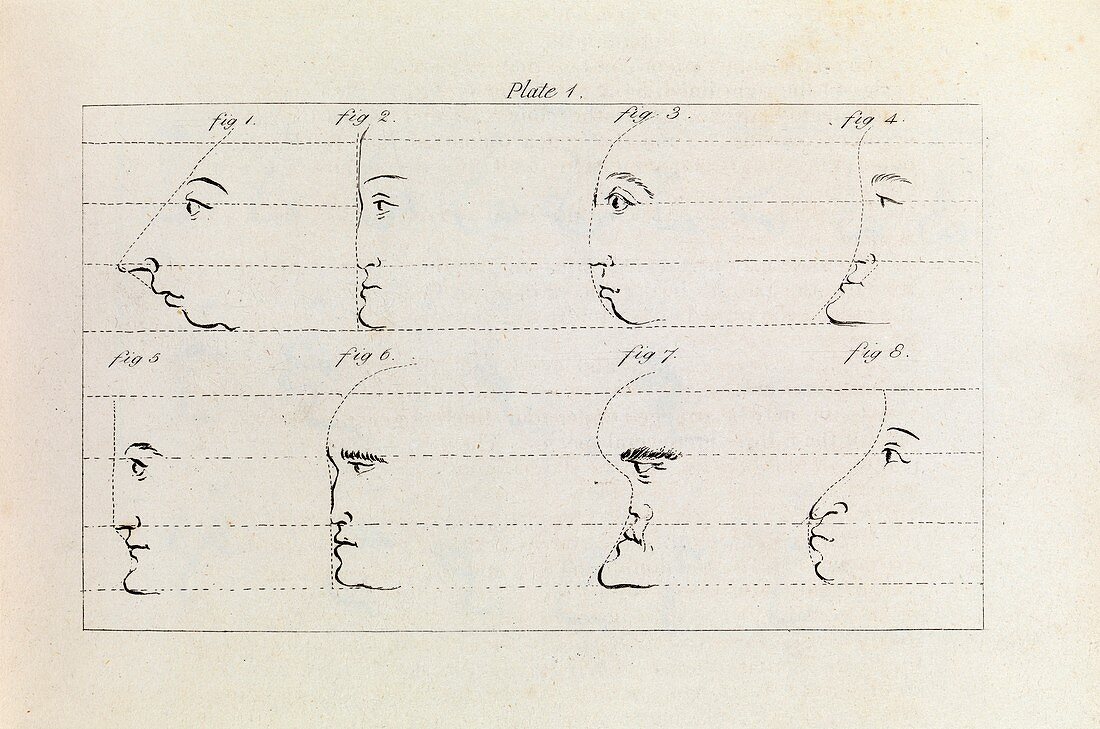 Drawing profiles, 19th century